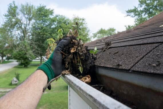 Gutter Cleaning & Flushing example 3